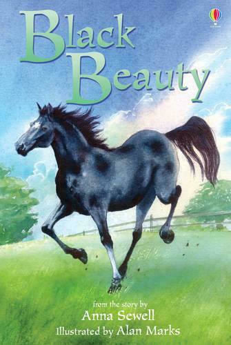 Black Beauty Black Beauty