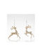 Set Hängende Weihnachtsbaumschmuck Rentier Acryl 14x14.5cm 2Stücke Verschiedene Designs