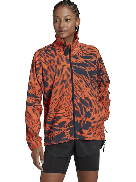 adidas Performance Sports Jacket Semi Impact Orange / Legend Ink