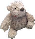 Egmont Plush Bear James