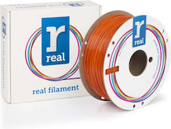 Real Filament PETG 3D Printer Filament 1.75mm Π...