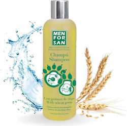 Men for San Rodent Shampoo Wheat Germ 300ml