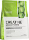 OstroVit Creatine Monohydrate Micronized με Γεύση Πράσινο Μήλο 300gr