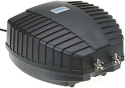 Oase AquaOxy 2000 Aquarienluftpumpe Doppelter Luftauslässe Oase AquaOxy 2000 Aquarienluftpumpe Doppelter Luftauslässe