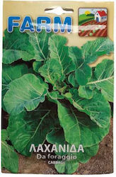 Primasem Da Forragio Seeds Kale 1gr