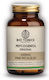 Bio Tonics Pefcogenol Original 100mg Ειδικό Συμπλήρωμα Διατροφής 90 φυτικές κάψουλες