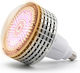 Κρεμαστό Grow Light με 300 LED και Ισχύ 300W