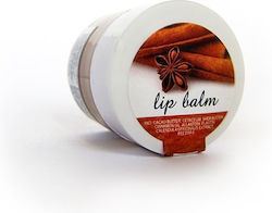 Hristina Cosmetics Lip Balm Κανέλα 30ml