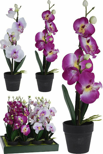 Ορχιδέα σε Γλαστράκι 38cm (Διάφορα Χρώματα) JK Home Decoration