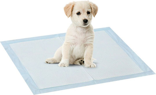 Pet Interest Επιδαπέδια Πάνα Σκύλου 60x60cm 20τμχ
