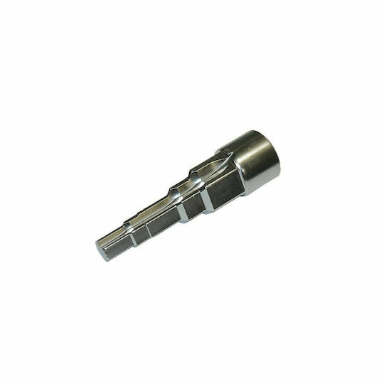 Walnut with Square Head and Socket 1/2'' 1pcs