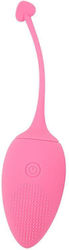 Chisa Novelties Sweety Teaser Rechargable Bulle...