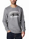 Sweatshirt Gray