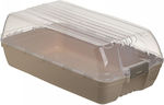 Click Plastic Storage Box for Shoes in Beige Color 35x19x13cm 1pcs