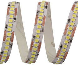 Eurolamp Ταινία LED 24V Θερμό Λευκό Φως 5m Τύπο...