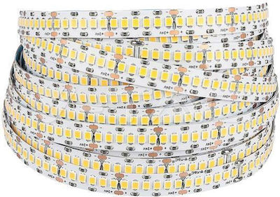 Eurolamp Bandă LED Alimentare 24V cu Lumină Alb Cald Lungime 5m și 240 LED-uri pe Metru SMD2835