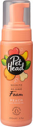 Pet Head Quick Fix Foam Dog Shampoo 200ml