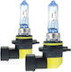 AMiO Car Lamps Lumitec Limited HB3 Halogen 4300K Natural White 12V 60W 2 Pieces