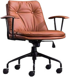 Executive with Reclining Brown Favor Avant Garde