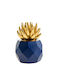 Zen Collection Decorative Cactus 48046 made of Plastic 11x11x16cm 1pcs