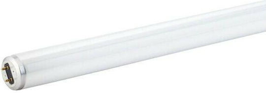 Olympia Electronics Leuchtstofflampe mit Form T8 15W