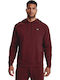 Rival Sweatshirt with Hood Burgundy