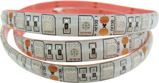 LED Strip 12V Cold White Light 1m Type SMD5050