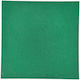 Doorado Boden Bodenbelag für Turnhallengeräte Fitnessstudio Grün 50x50x4cm 1Stück