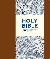 Holy Bible, with Clasp, Brown