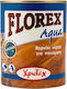CHrotech Florex Aqua Surface Varnish Water Colo...