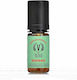 Black Note Άρωμα Havana 10ml 1τμχ