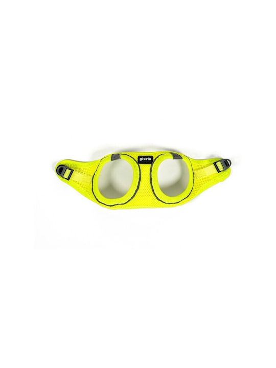 Gloriapets Hundegeschirr Weste Air Mesh Trek St...