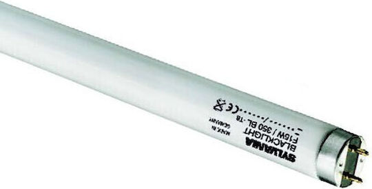Olympia Electronics Leuchtstofflampe mit Form T8 36W