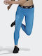 Formare Colanti de femei Cropped Colanti Talie inalta Turcoaz