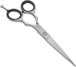 Euro Latif EL-10203 Hair Cutting Scissors 6 Inches Euro Latif EL-10203 Hair Cutting Scissors 6 Inches