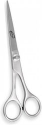 Euro Latif EL-11003 Haarschneidescheren 6