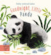 Goodnight, Little Panda, Board Book