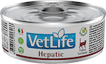 Farmina Vet Life Hepatic Wet Food for Adult Cats for Kidney Diseases In Can with 1pc 85gr