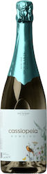 Oinopoieio Andreas Ntourakis Cassiopeia White Dry Sparkling 750ml