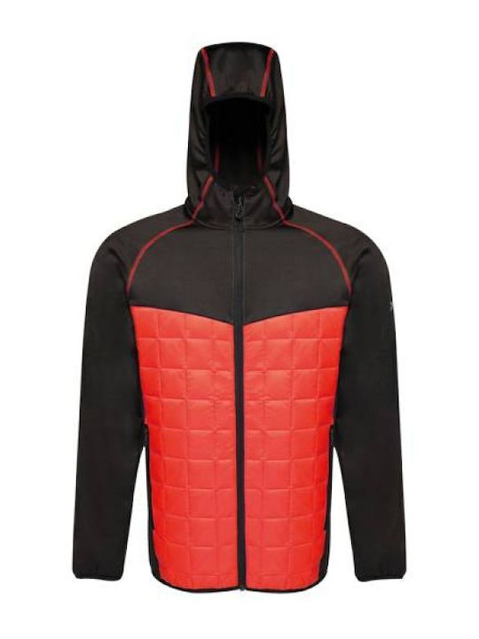Regatta Winter Jacket Puffer Red