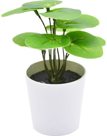 Artificial Potted Plant TnS Artificial Potted Plant TnS