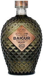 Saigon Baigur