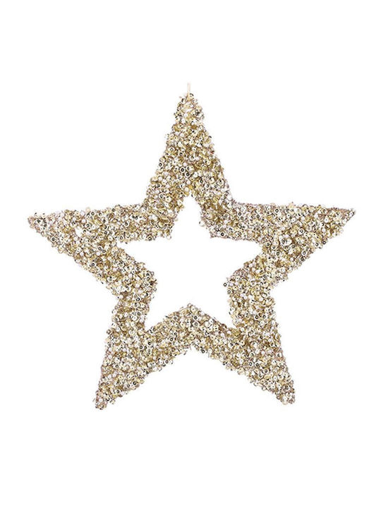 Atmosphera Champagne-colored pieces Plastic Christmas Decorative Pendant Star 30cm Gold