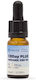 Enecta CBDay Plus Full Spectrum Intense Έλαιο Κάνναβης σε Σταγόνες 500mg με 5% CBD 10ml