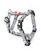 Max & Molly Нагръдник за куче Zebra Small 15мм x 41-52см MM0010