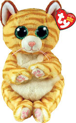 TY Kitten Beanie Bellies Golden Kitten For 3+ Years 15 cm