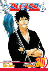 Bleach Vol. 30