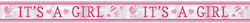 It's A Girl Banner για Party 762εκ.