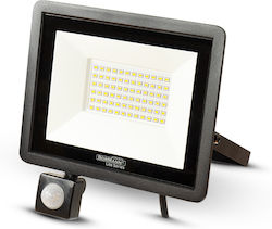 Bormann Blf1930