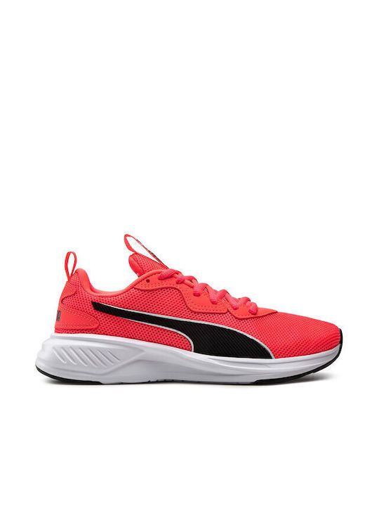 Incinerate Sport Shoes Training Pink